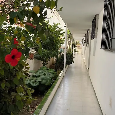 Paradise - El Califa 3 Apartment *